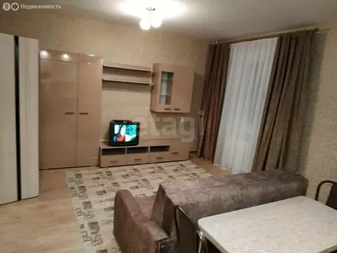 Квартира-студия: Омск, улица Малиновского, 23к2 (33 м)