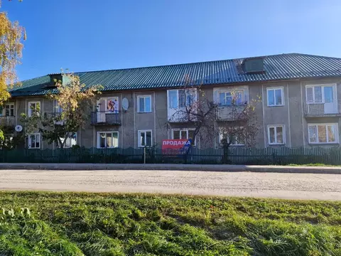 2-к кв. Новосибирская область, с. Убинское ул. Салтыкова, 1 (43.0 м)