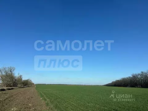 Участок в Крым, Сакский район, Ромашкинское с/пос, с. Колоски  (3.8 ...