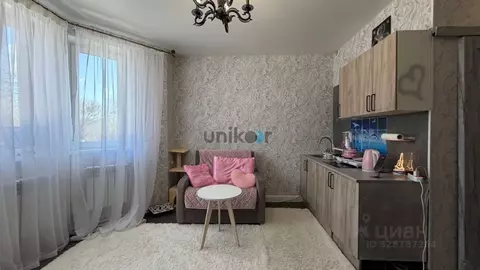 Студия Московская область, Богородский городской округ, д. Новая ...