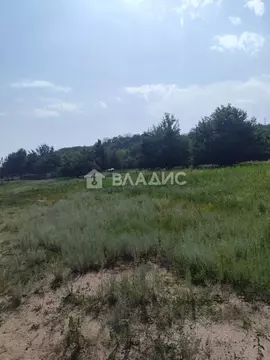 Участок в Воронежская область, Рамонский район, Березовское с/пос, д. ...
