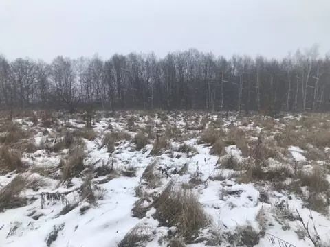 Участок в Московская область, Зарайск муниципальный округ, д. ...