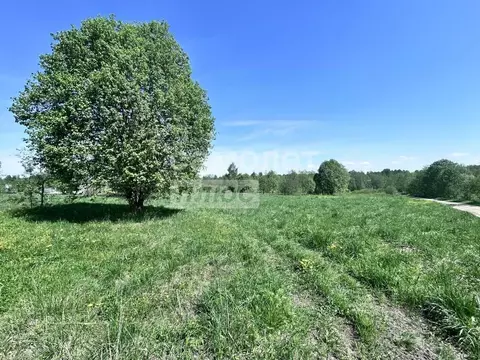 Участок в Вологодская область, Шекснинский муниципальный округ, д. ...