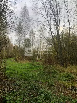 Продается участок в д. Холмы