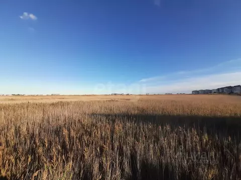 Участок в Крым, Феодосия ул. Евпаторийская (10.0 сот.)