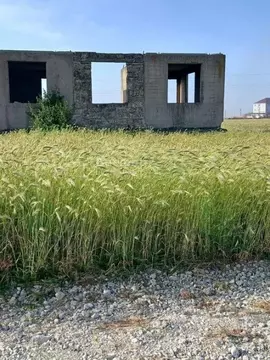 Дом в Крым, Феодосия муниципальный округ, Приморский пгт ул. Школьная, ...