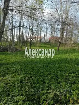Участок в Ленинградская область, Лужский район, Скребловское с/пос, д. ...