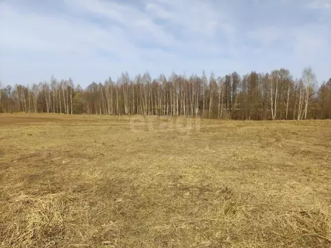 Участок в Марий Эл, Медведевский район, Знаменское с/пос, д. Гари ул. ...