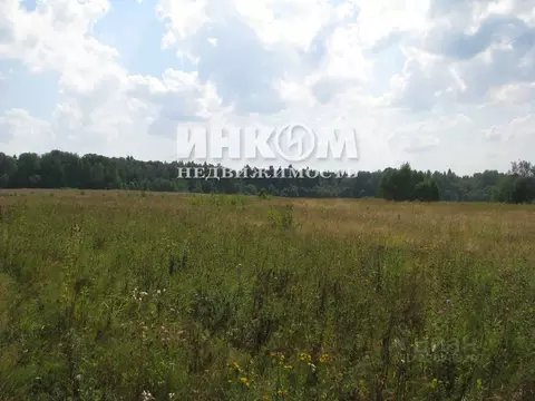 Участок в Московская область, Можайский муниципальный округ, Знаменка ...