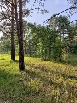 Участок в Брянская область, Брасовский район, Крупецкое с/пос, Село ...