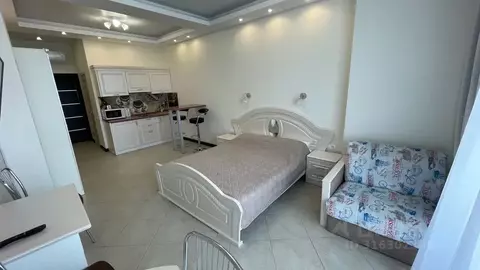 1-к кв. Краснодарский край, Сочи Курортный просп., 105 (45.0 м)