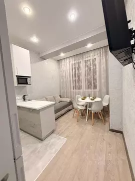 3-к кв. Краснодарский край, Сочи Пластунская ул., 100Б (60.0 м)