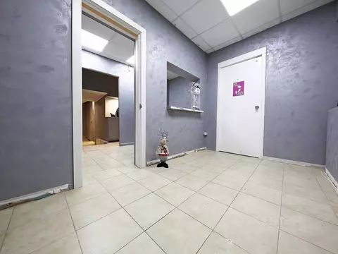 Помещение свободного назначения в Москва ул. Ивана Бабушкина, 18К2 (20 ...