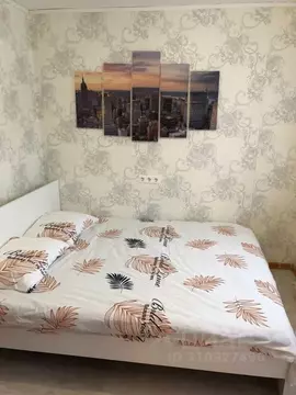 2-к кв. Свердловская область, Екатеринбург ул. Серафимы Дерябиной, 43 ...