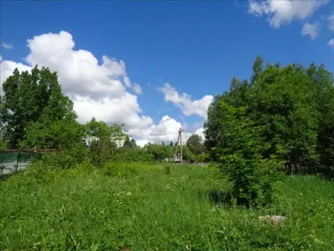 Участок в Ленинградская область, Лужский район, Мшинское с/пос, д. ...