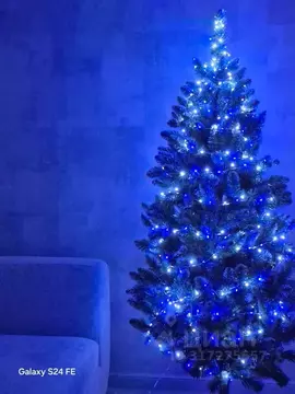 Студия Пермский край, Пермь Пермская ул., 2 (39.0 м)