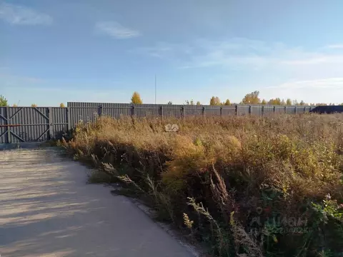 Участок в Новосибирская область, Бердск ул. Осенняя (7.7 сот.)