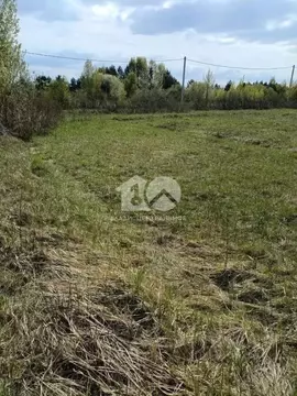 Участок в Новосибирская область, Колыванский район, Эталон СТ  (10.0 ...