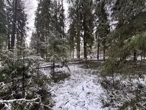 Участок в Московская область, Пушкинский городской округ, д. Могильцы, ...