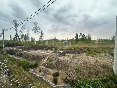 Участок в Ленинградская область, Всеволожский район, Агалатовское ...
