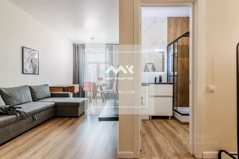 2-к кв. Санкт-Петербург Малодетскосельский просп., 38Г (47.0 м)