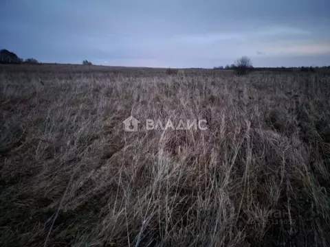 Участок в Калининградская область, Зеленоградский муниципальный округ, ...