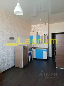 Студия Красноярский край, Красноярск ул. 40 лет Победы, 2 (22.3 м)