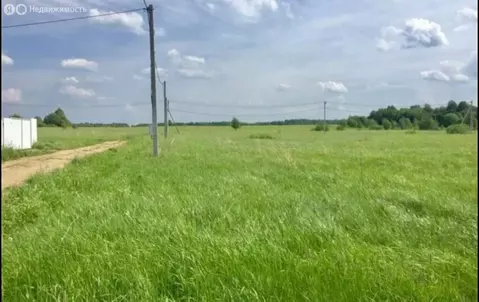 Участок в Сосновый Бор, ТСН Виктория, 21 (8 м)