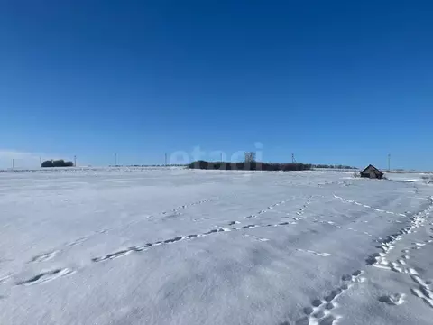 Участок в Белгородская область, Прохоровский район, с. Коломыцево  ...