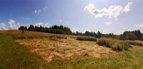 Участок в Новгородская область, Валдайский район, Короцкое с/пос, пос. ...