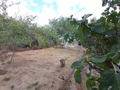 Участок в Севастополь Планер садоводческое товарищество, 125 (4.0 ...