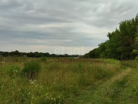 Участок в Курская область, Курский район, Полянский сельсовет, с. ...