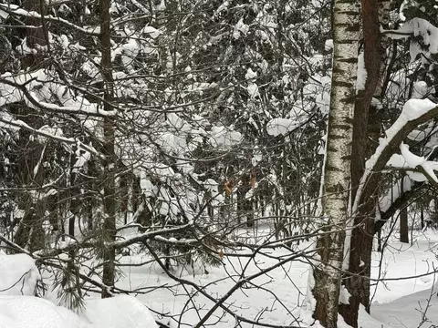 Участок в Московская область, Богородский городской округ, д. Марьино ...