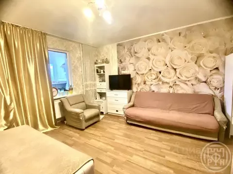 Студия Ленинградская область, Всеволожский район, д. Новое Девяткино ...