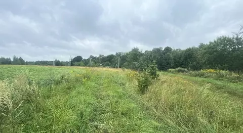 Участок в Московская область, Ступино городской округ, д. Тютьково  ...