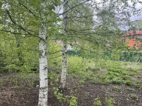 Участок в Московская область, Раменский муниципальный округ, Быково ...