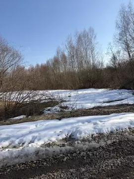 Участок в Московская область, Лотошино муниципальный округ, д. Борки  ...