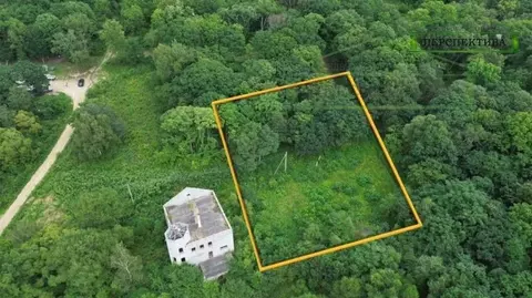 Участок в Приморский край, Артемовский городской округ, с. Суражевка ...