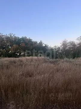 Участок в Ростовская область, Аксайский район, Большелогское с/пос, ...