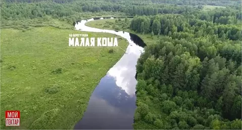 Участок в Тверская область, Селижаровский муниципальный округ, д. ...