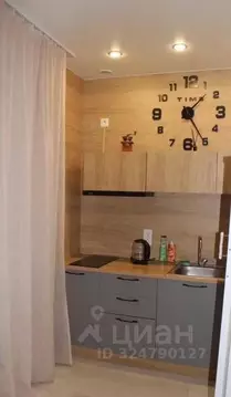 1-к кв. Санкт-Петербург Черниговская ул., 17 (35.3 м)