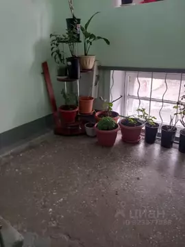 Комната Свердловская область, Екатеринбург ул. Розы Люксембург, 67А ...