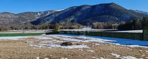 Участок в Алтай, Кош-Агачский район, Джазаторское с/пос, с. Беляши  ...
