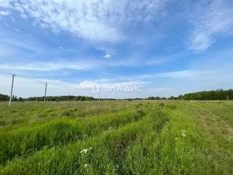 Участок в Калининградская область, Полесский муниципальный округ, пос. ...