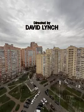 1-к кв. Санкт-Петербург Ленинский просп., 82к3 (35.0 м)