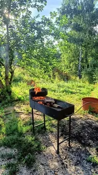 Участок в Новосибирская область, Новосибирск Комета-Березка садовое ...