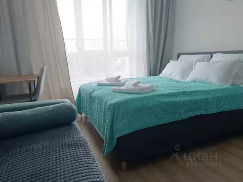 Студия Московская область, Солнечногорск городской округ, Андреевка ...