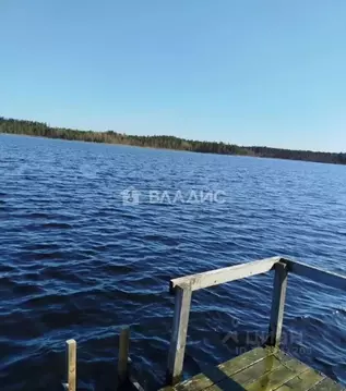 Участок в Ленинградская область, Выборг проезд Черкасовский, 31 (24.0 ...