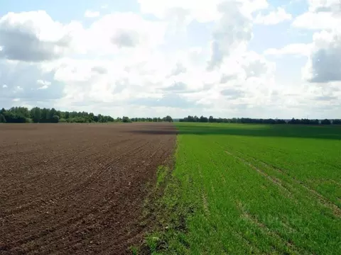 Участок в Тульская область, Тула городской округ, д. Барыбинка  (188.0 ...