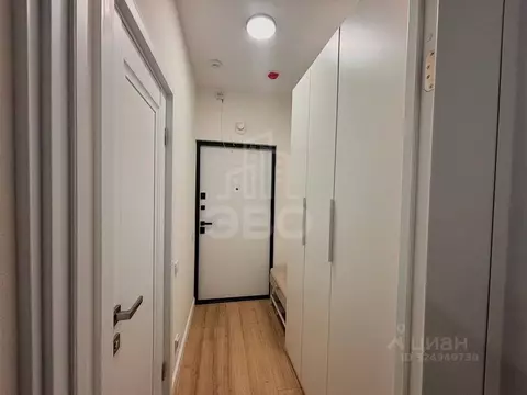 Студия Санкт-Петербург просп. Крузенштерна, 4 (25.0 м)